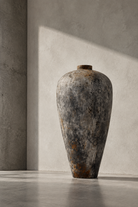 Low angle against a plaster wall